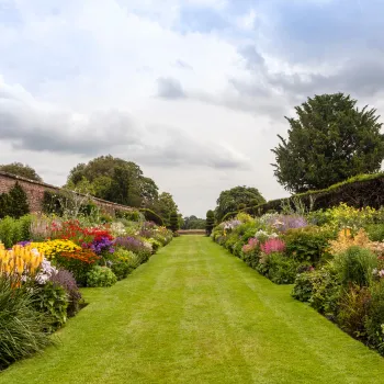 View March Gardening Guide