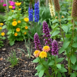 View March Gardening Tips