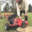 Buy Stump Grinder Online